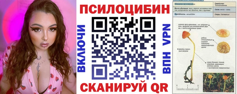 Галлюциногенные грибы Cubensis  Вяземский 
